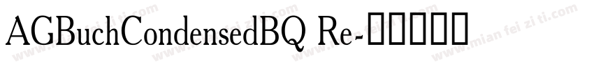 AGBuchCondensedBQ Re字体转换